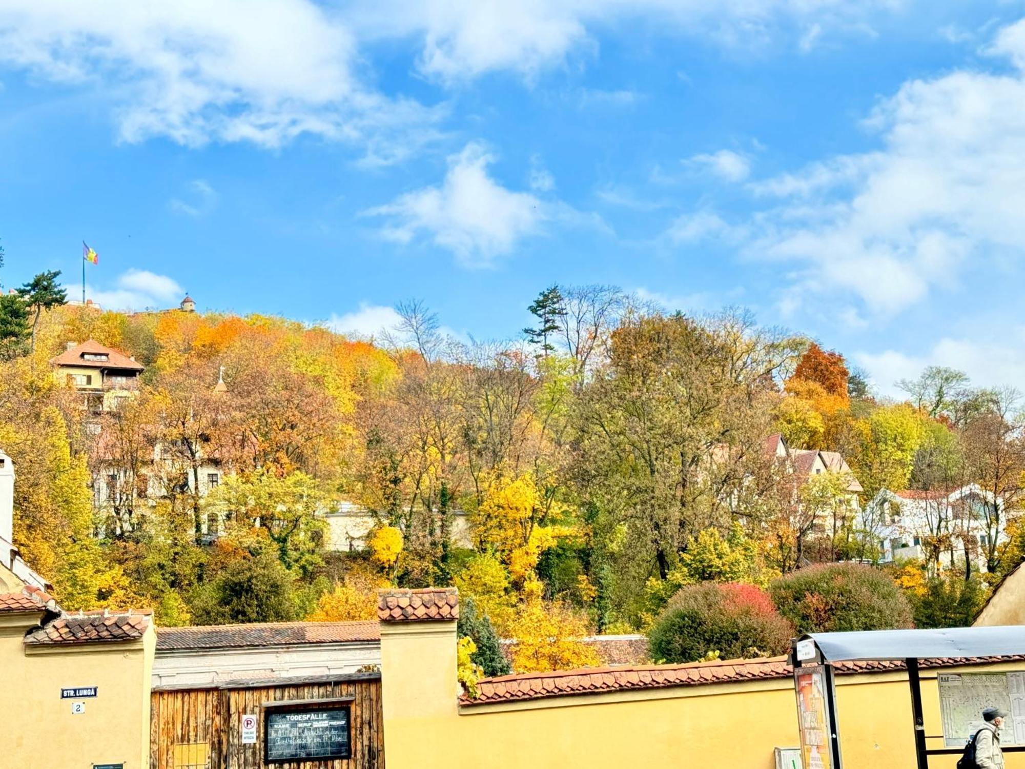 Vila Casa Ming Brašov Exteriér fotografie
